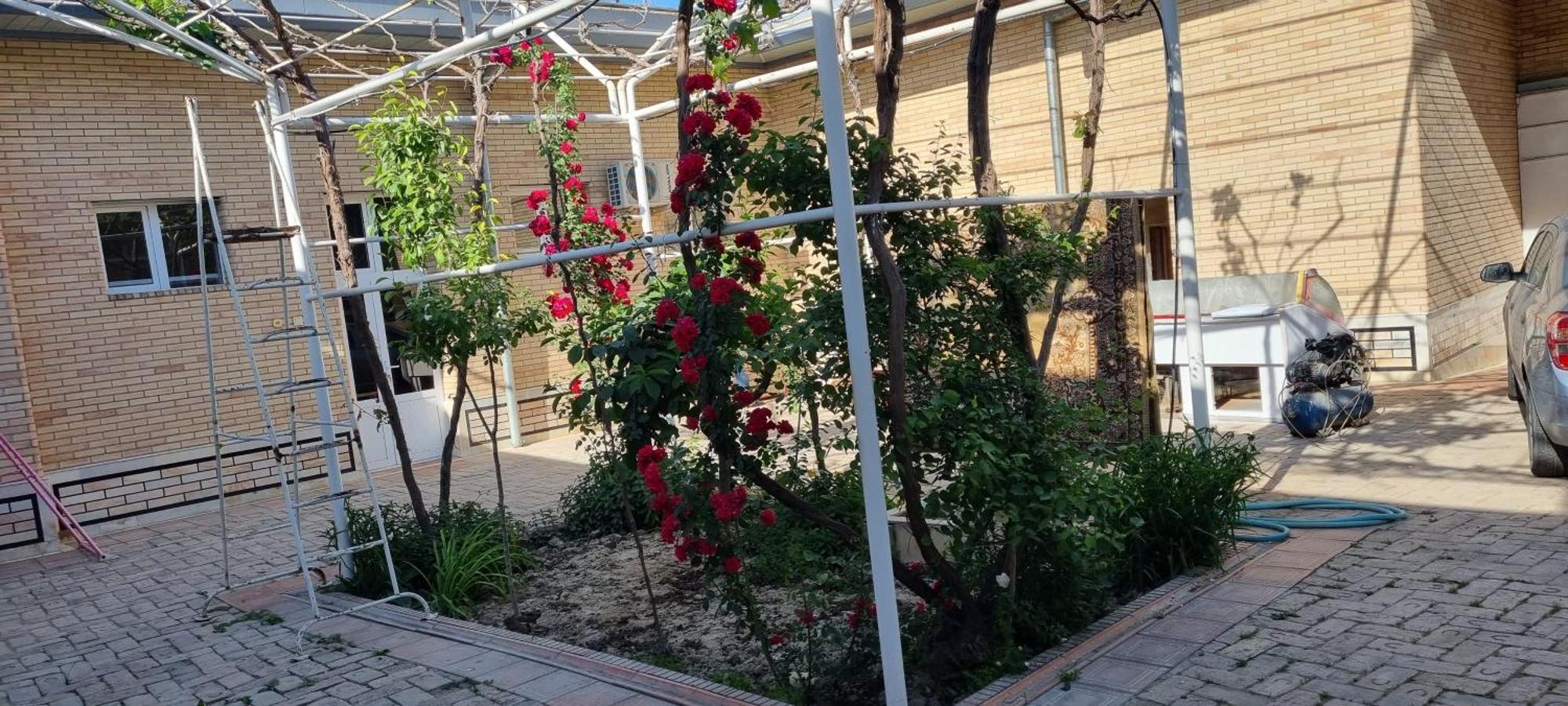 Guest House Muborak 사마르칸트 외부 사진